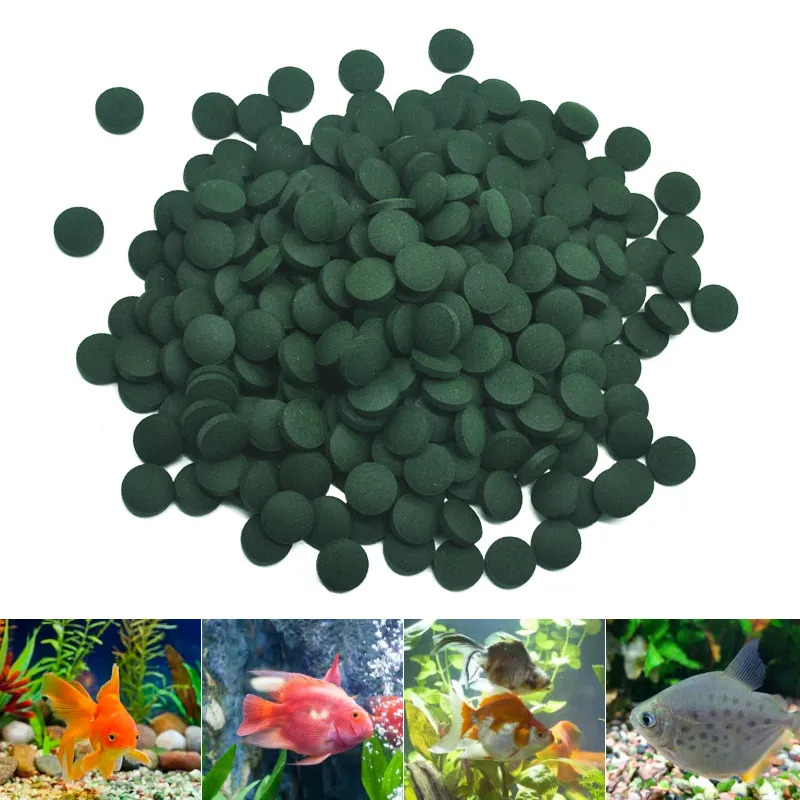 100-3000pc High Purity Spiruli - Spirulina Tablet Organic review and price