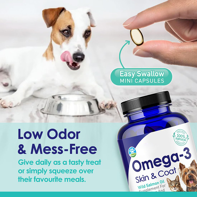 Omega 3 Fish Oil for Dogs, Wil - Omega 3 Fish Oil review and price