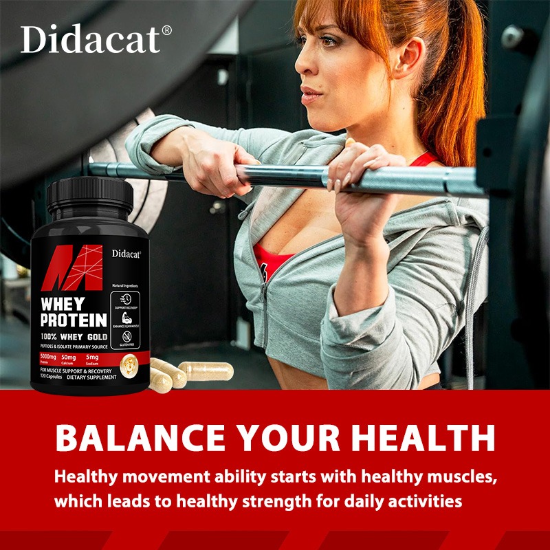 Didacat Whey Protein Concentra - Nutrition And Exercise review and price
