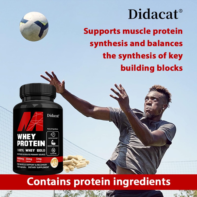 Didacat Whey Protein Concentra - Nutrition And Exercise review and price