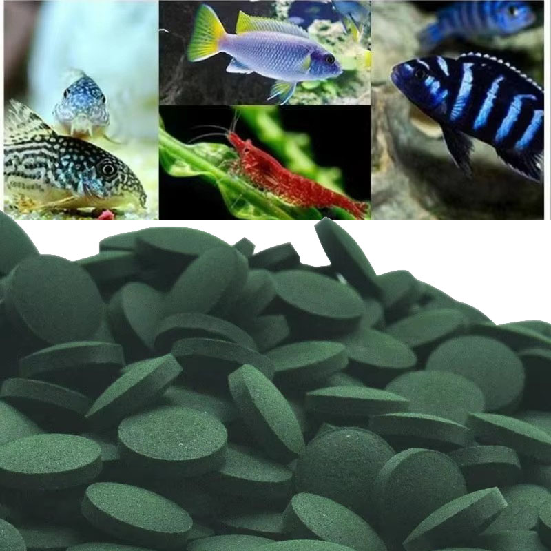 50/100/300/500pcs Spirulina Ta - Spirulina Tablet Organic review and price