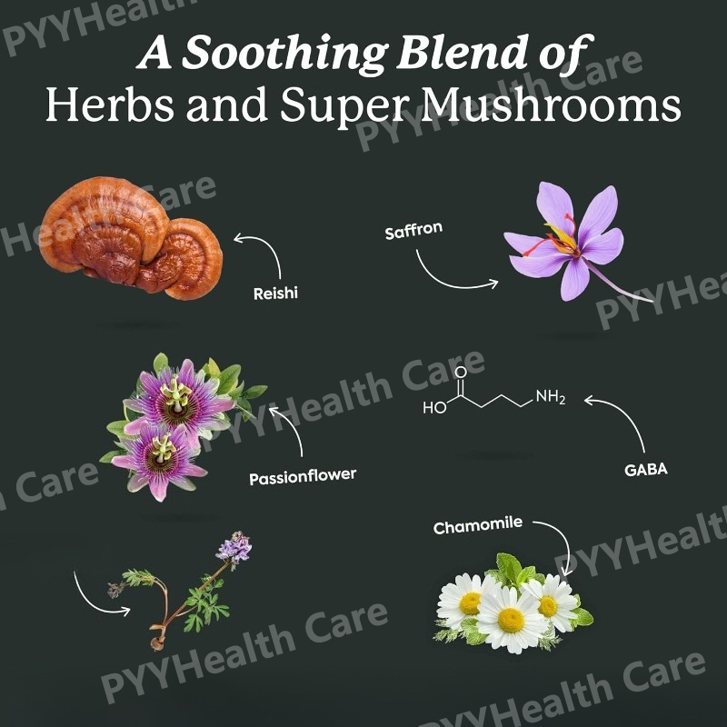 WonderSleep Mushroom Gummies S - Melatonin Sleep Gummy review and price